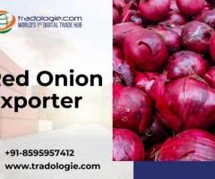 Red Onion Exporter