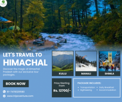 Manali Tour Package: Scenic Beauty, Adventure, and Unforgettable Memories Await Shimla