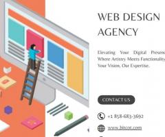 Web Design Agency - 1