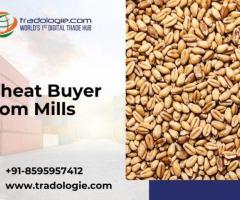 Wheat Buyer From Mills - 1