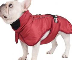 Designer Dog Clothing