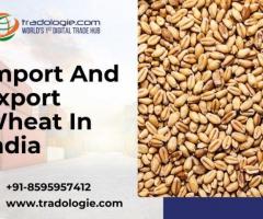 Import and export wheat in India