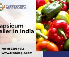 Capsicum Seller In India