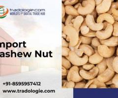 Import Cashew Nut