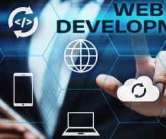 Need custom website development for your online business?