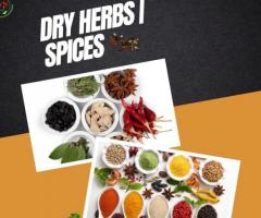 LVNFoods - Buy Regular Spices Online in India,