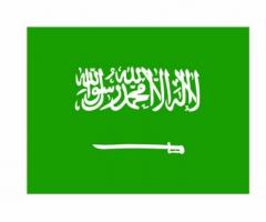 Simple Path Navigating the Saudi Arabian E-Visa for Umrah