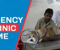 Emergency Vet Clinic Near me | CGS Hospital