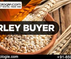 Barley Buyer