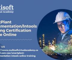 SmartPlant Instrumentation/Intools Training Certification Course Online