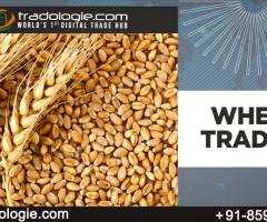 Wheat Trading