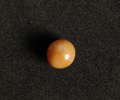 Cassis Species 100% Natural Pearls - Deepseapearl