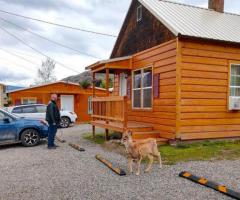 Explore Nature's Playground! Unique Yellowstone Cabin Rentals