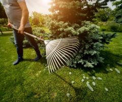 Transformative Lawn Management Services to Elevate Your Outdoor Space - 1