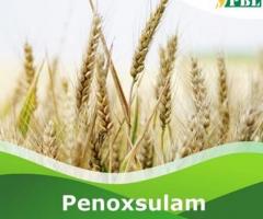 Buy now Penoxsulam 21.7% SC at Peptech Biosciences Ltd