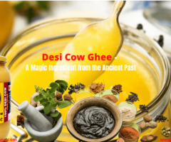 Desi Cow Ghee – A Magic Ingredient from the Ancient Past