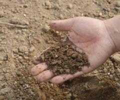 Beneath the Surface: Soil Stories from Ottawa