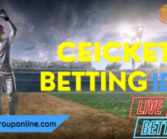 WhatsApp for Cricket Betting Integrates by ARS Group Online