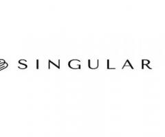 singularvest - 1