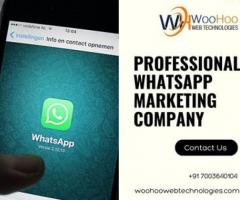 Professional Whatsapp Marketing Company