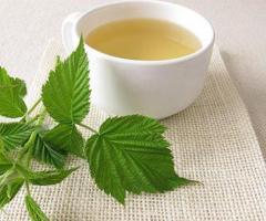 Wholesale of Raspberry leaves from the manufacturer at optimal prices