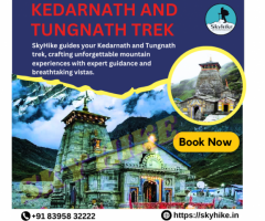 Kedarnath and Tungnath Trek Package