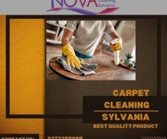 Transform Your Home Carpet Cleaning in Sylvania