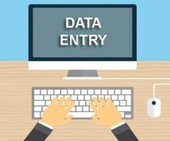 Professional Data Entry Services For Your Projects