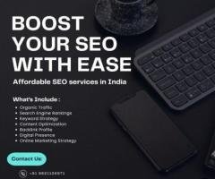 Optimizing organic search visibility for competitive Delhi-NCR niches