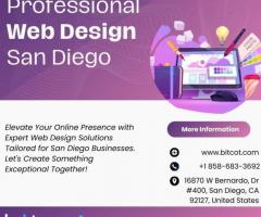 Professional Web Design San Diego