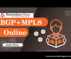 Best BGP+MPLS Training Institute in India - 1