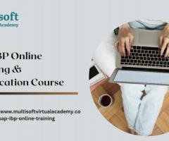 SAP IBP Online Training & Certification Course