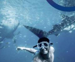 Snorkeling Tours in Cancun - 1