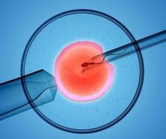 Best Infertility Clinic & Hospital In Bangalore - Best Ivf Centre In Bangalore