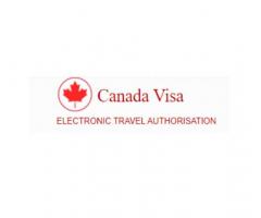 Navigating Canada's Emergency Visa Process