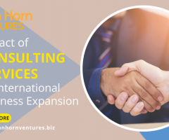 Impact of Consulting Services on International Business Expansion
