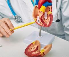 Experienced Cardiology Doctors in Utah | Revere Health