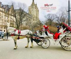 Saddle Up for Central Park Horseback Riding Excursions