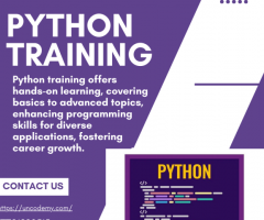 Python Beyond Boundaries: Pushing the Limits of Programming Ingenuity