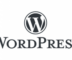 Unlock the Power of WordPress with Expert Development Services From Silicon Valley Infomedia