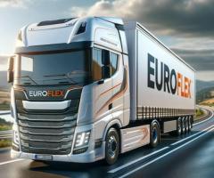 Euro-Flex: Schnelle und zuverlässige LKW-Expresszustellung Deutschland - 1
