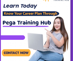 Top Pega Training Online Hyderabad