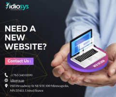 Minneapolis web development Company | Idiosys USA