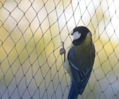 Best Anti bird nets in Bangalore-Chris Enterprises