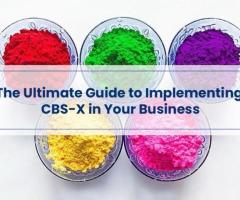 The Ultimate Guide to Implementing CBS-X in Your Business