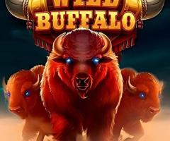 Explore the Thrill: Play Wild Buffalo Slots Online Now!