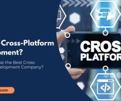 Choosing the Best Cross-Platform Development Company
