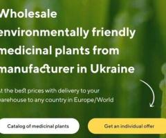 Veleprodaja ljekovitog bilja proizvođača po optimalnim cijenama