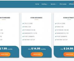 Affordable KVM VPS Hosting Service with Reliable price