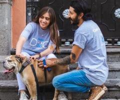 adiestramiento canino a domicilio Ciudad de México